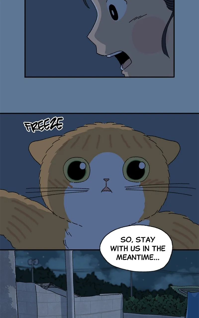 Tata the Cat Chapter 26 page 29 - 