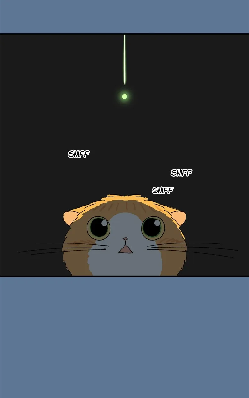 Tata the Cat Chapter 26 page 64 - 