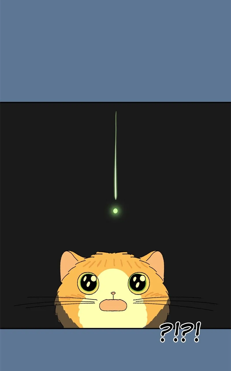 Tata the Cat Chapter 26 page 65 - 