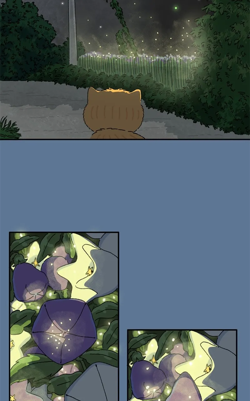 Tata the Cat Chapter 26 page 75 - 