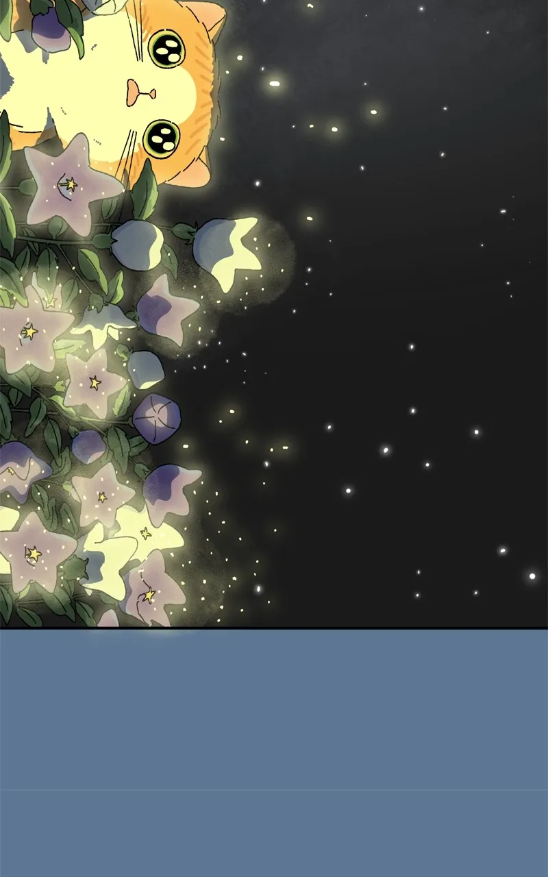 Tata the Cat Chapter 26 page 77 - 