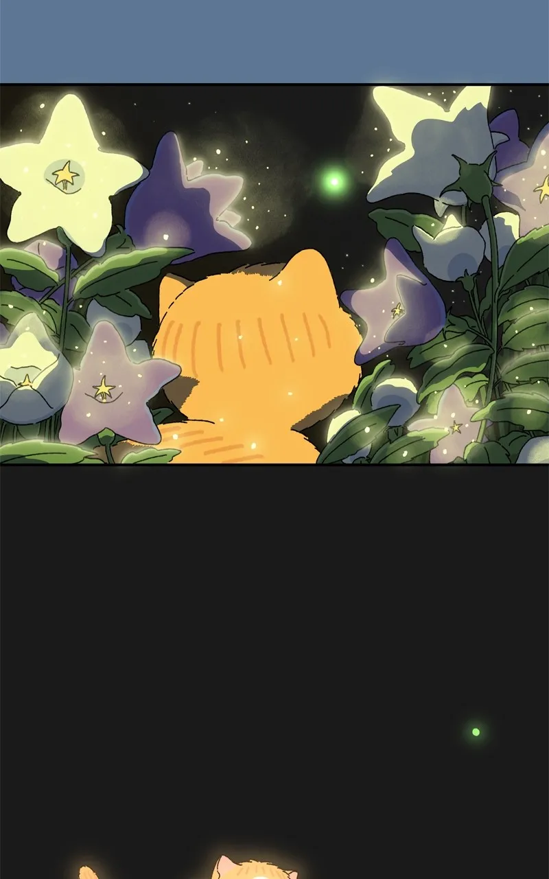 Tata the Cat Chapter 26 page 78 - 