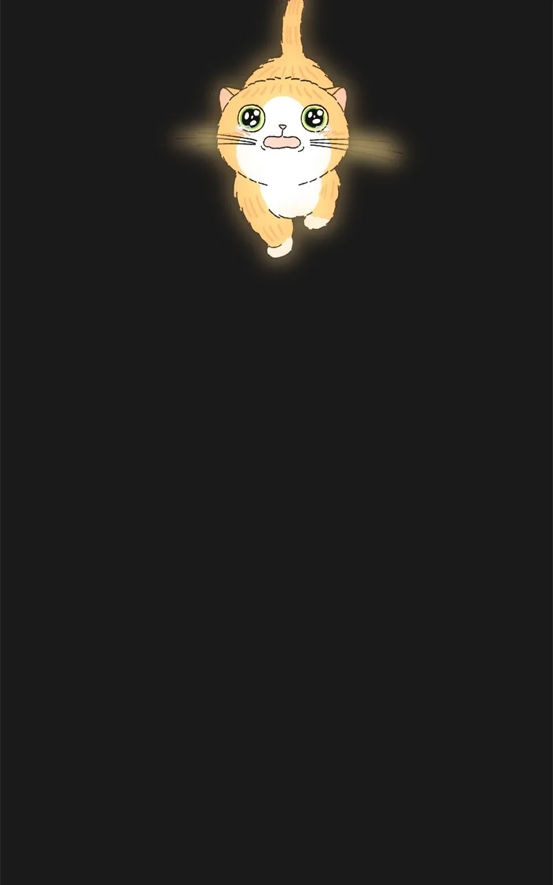 Tata the Cat Chapter 26 page 80 - 
