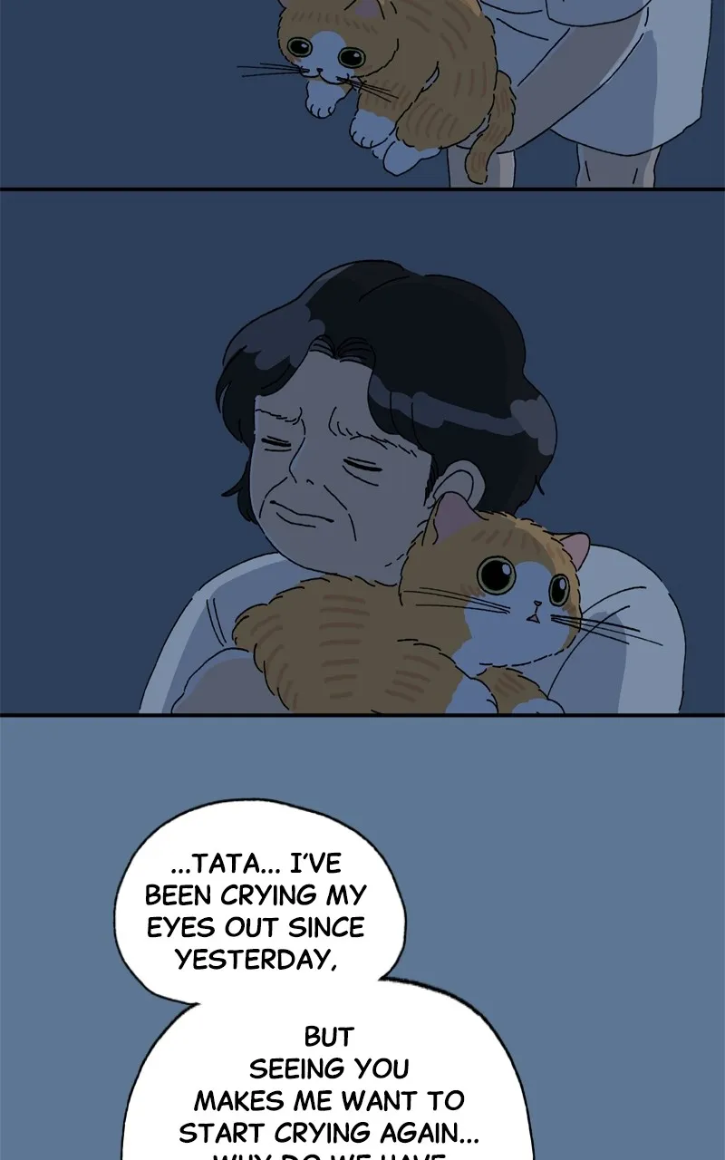 Tata the Cat Chapter 26 page 9 - 