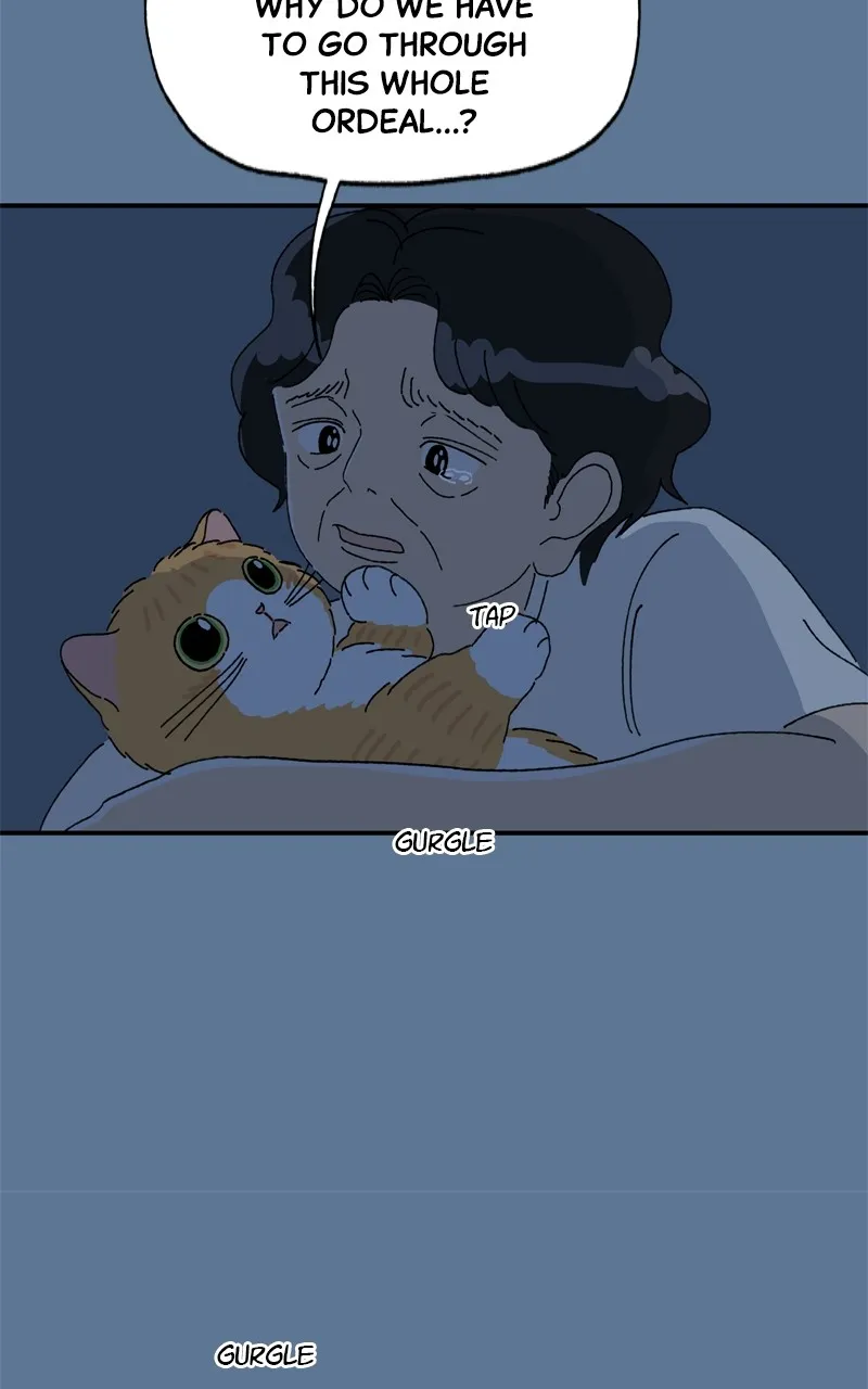 Tata the Cat Chapter 26 page 10 - 