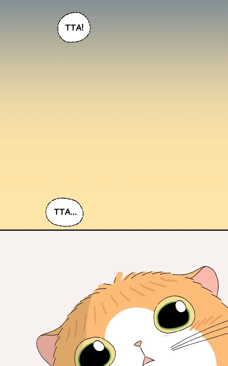 Tata the Cat Chapter 27 page 14 - 