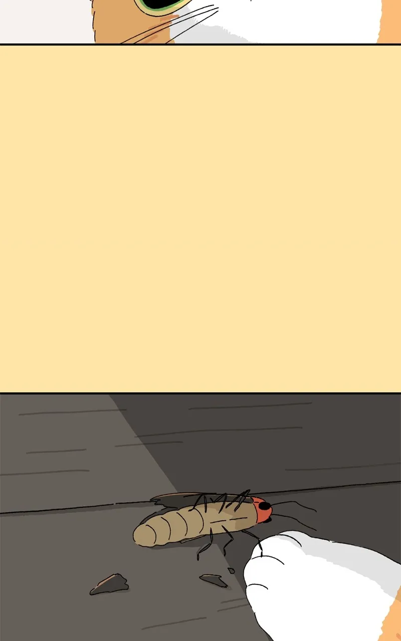Tata the Cat Chapter 27 page 15 - 