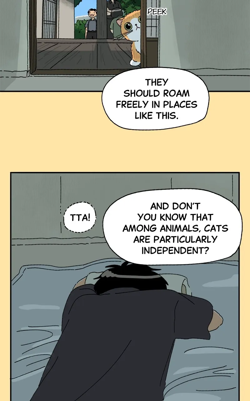 Tata the Cat Chapter 27 page 34 - 
