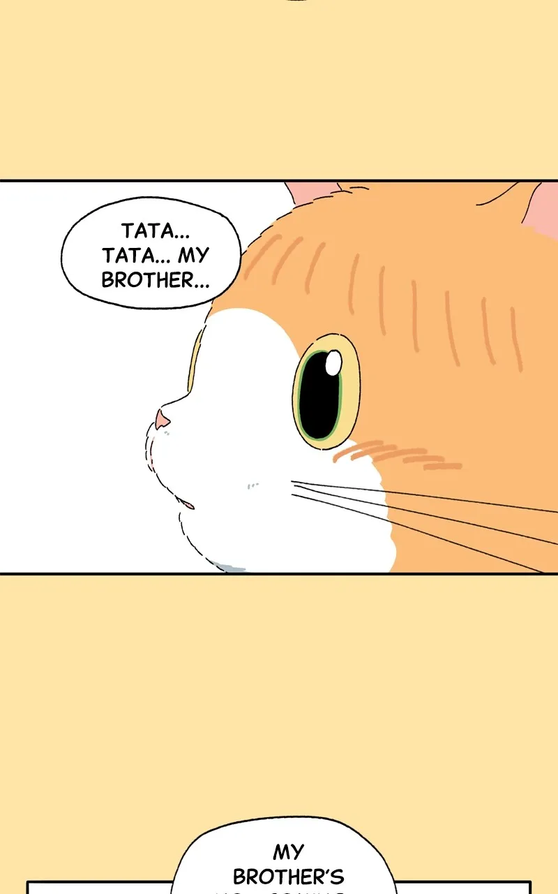 Tata the Cat Chapter 27 page 40 - 