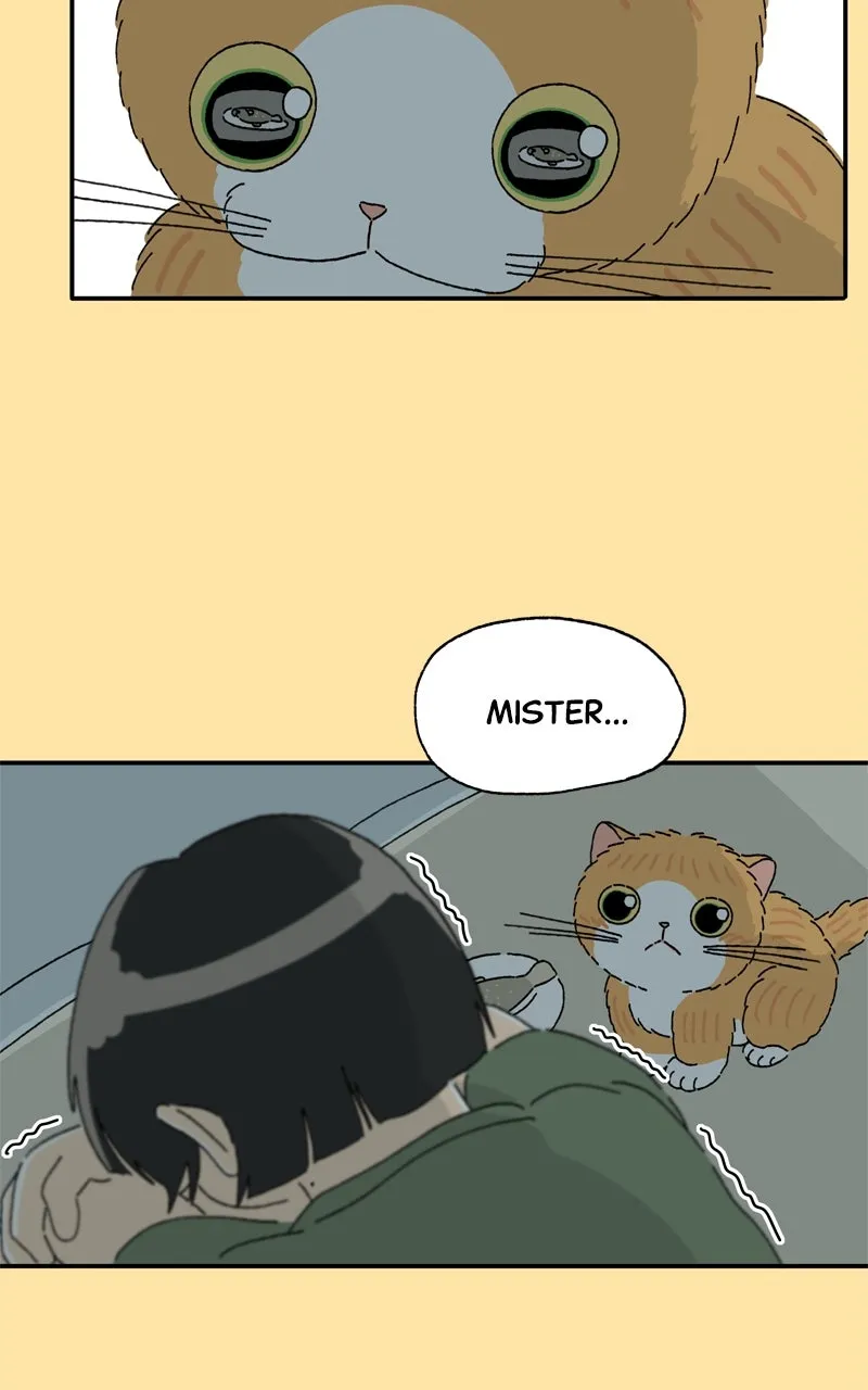 Tata the Cat Chapter 27 page 49 - 
