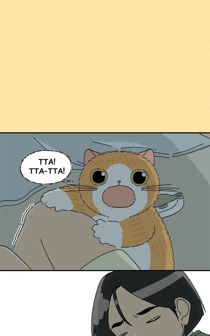 Tata the Cat Chapter 27 page 50 - 