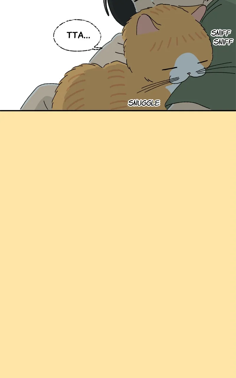Tata the Cat Chapter 27 page 51 - 