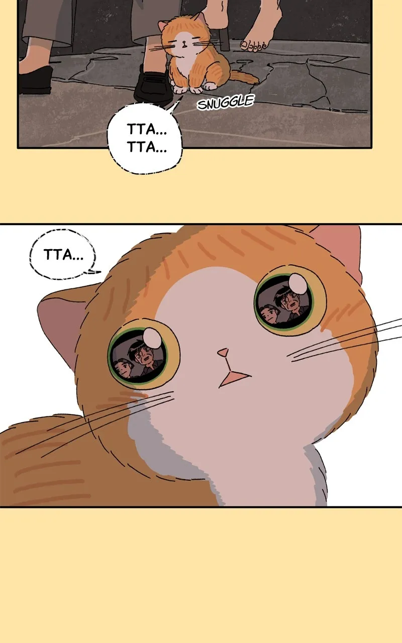 Tata the Cat Chapter 27 page 54 - 
