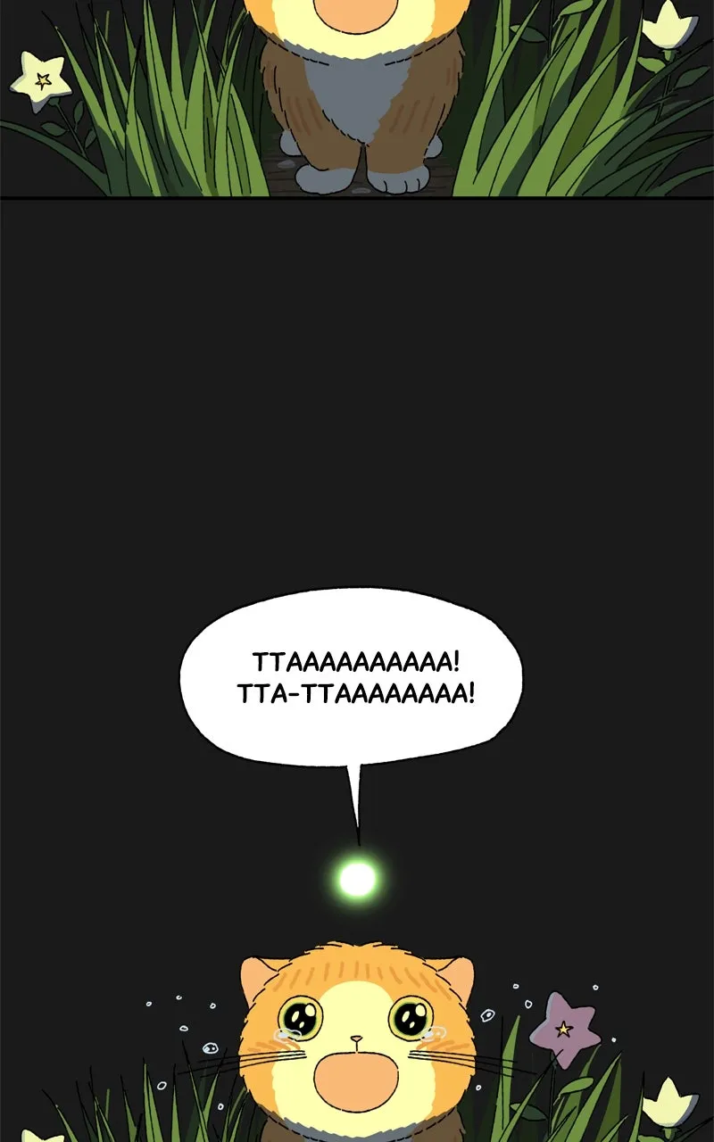 Tata the Cat Chapter 27 page 7 - 