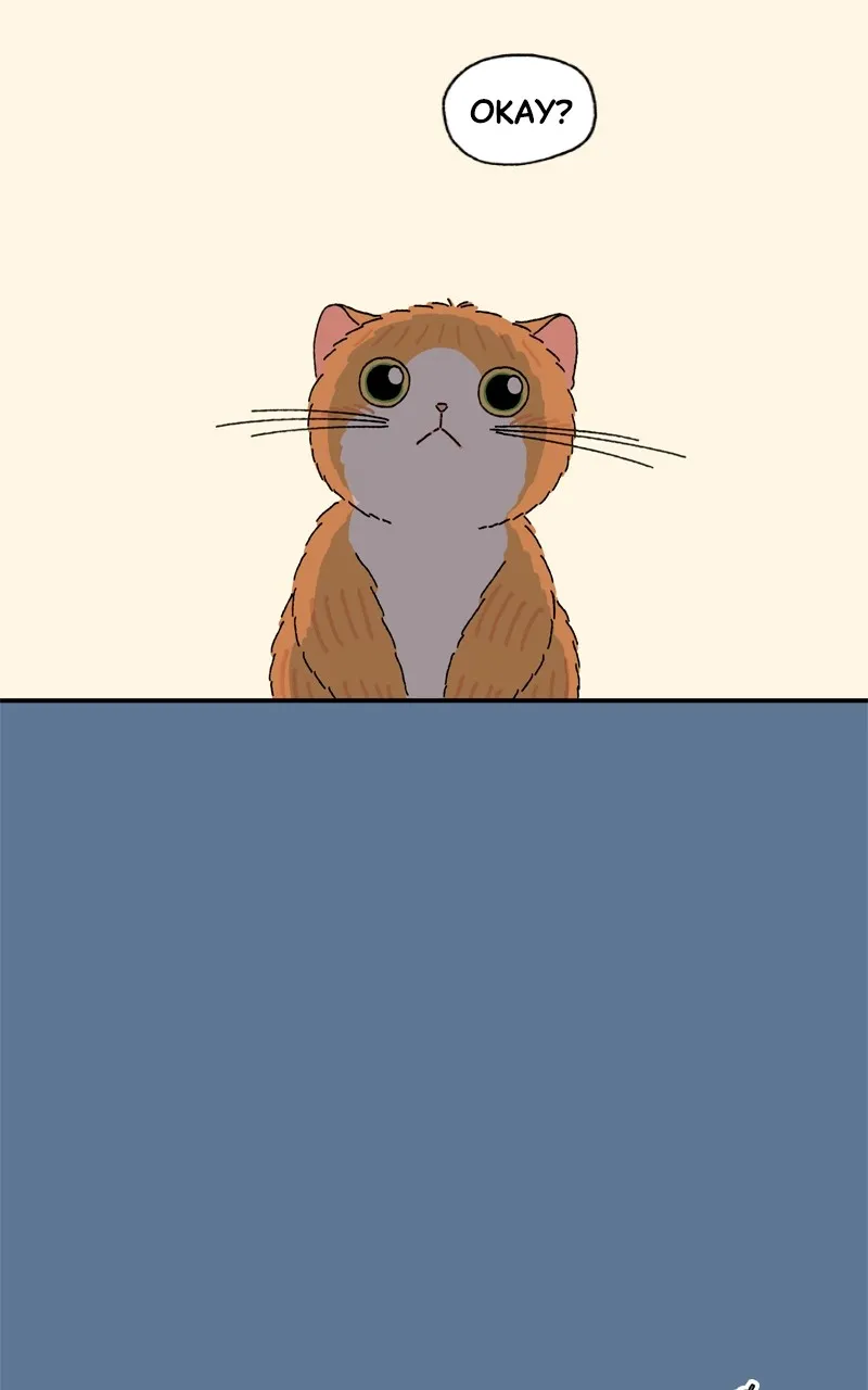 Tata the Cat Chapter 27 page 63 - 