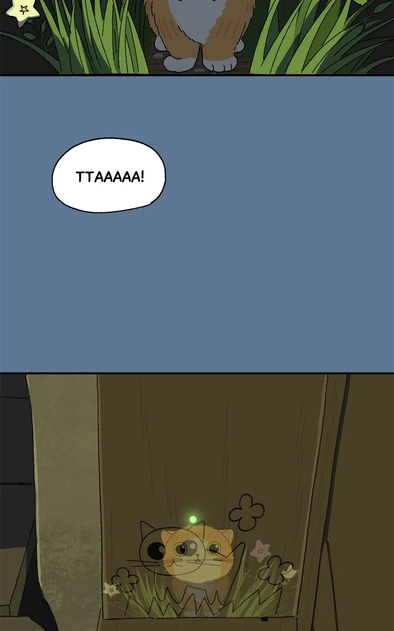 Tata the Cat Chapter 27 page 8 - 