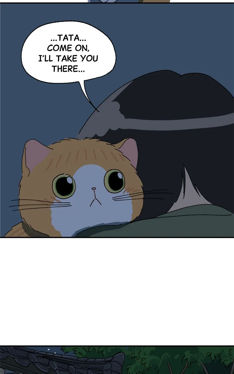 Tata the Cat Chapter 27 page 84 - 