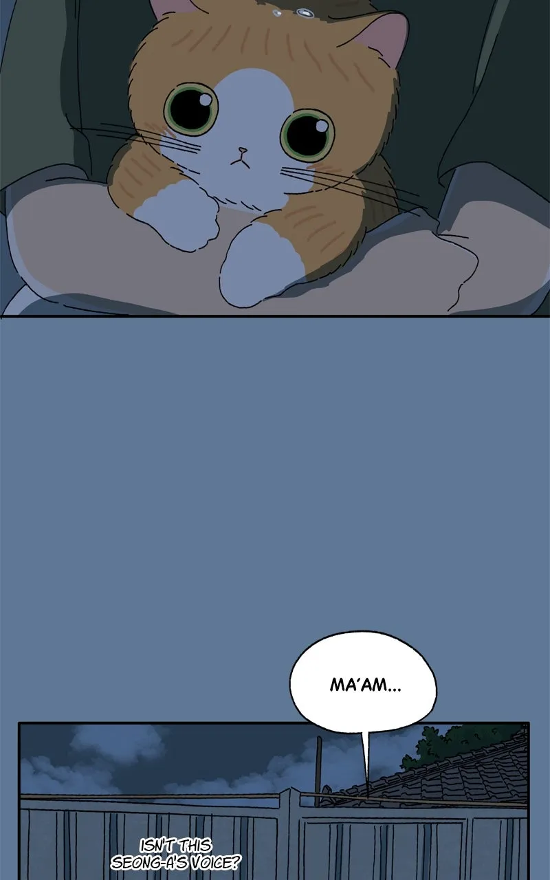Tata the Cat Chapter 28 page 31 - 