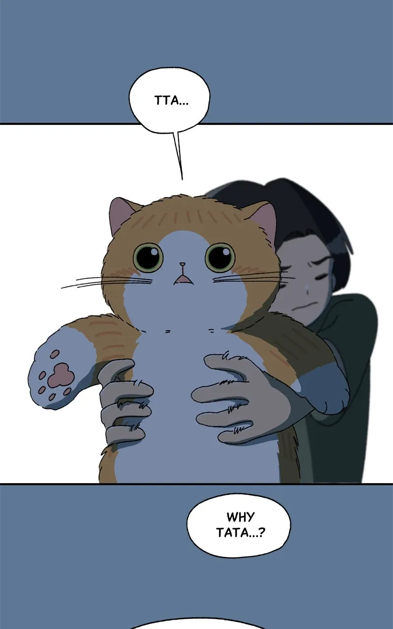 Tata the Cat Chapter 28 page 36 - 