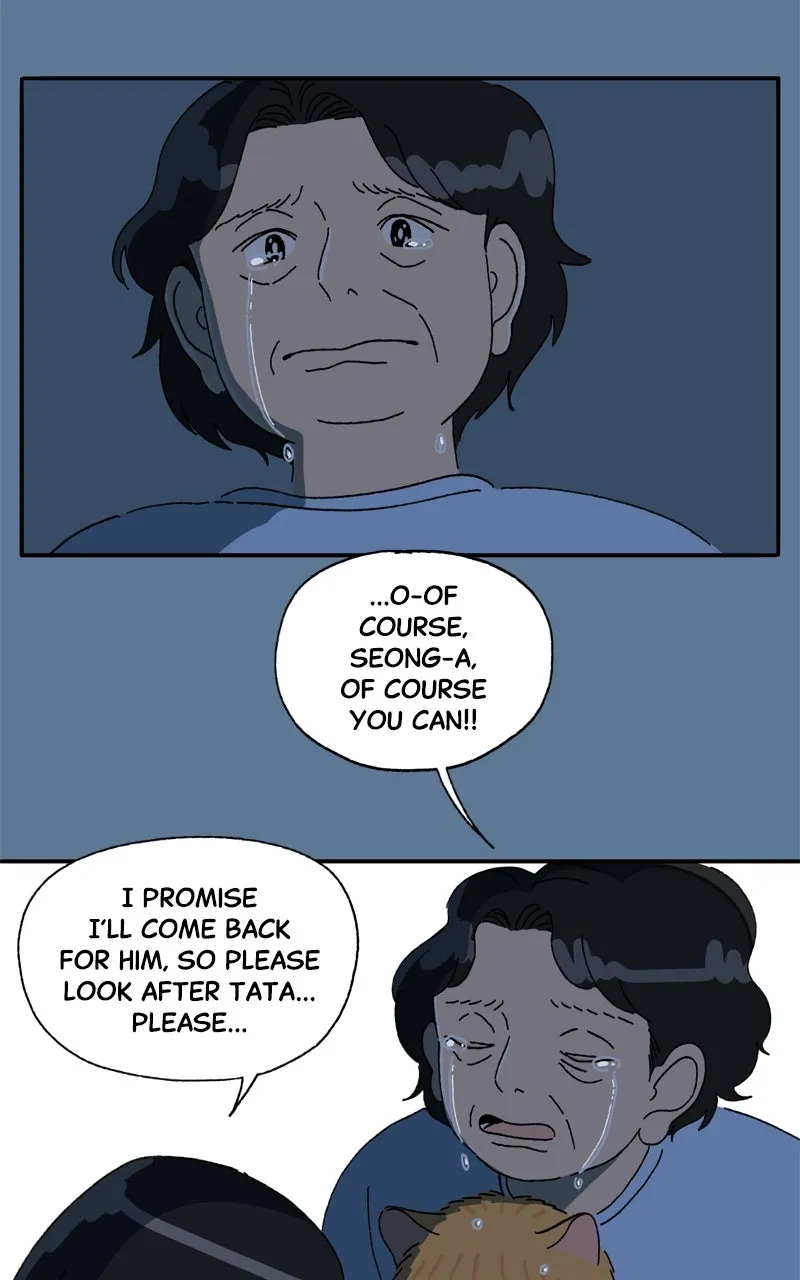 Tata the Cat Chapter 28 page 42 - 