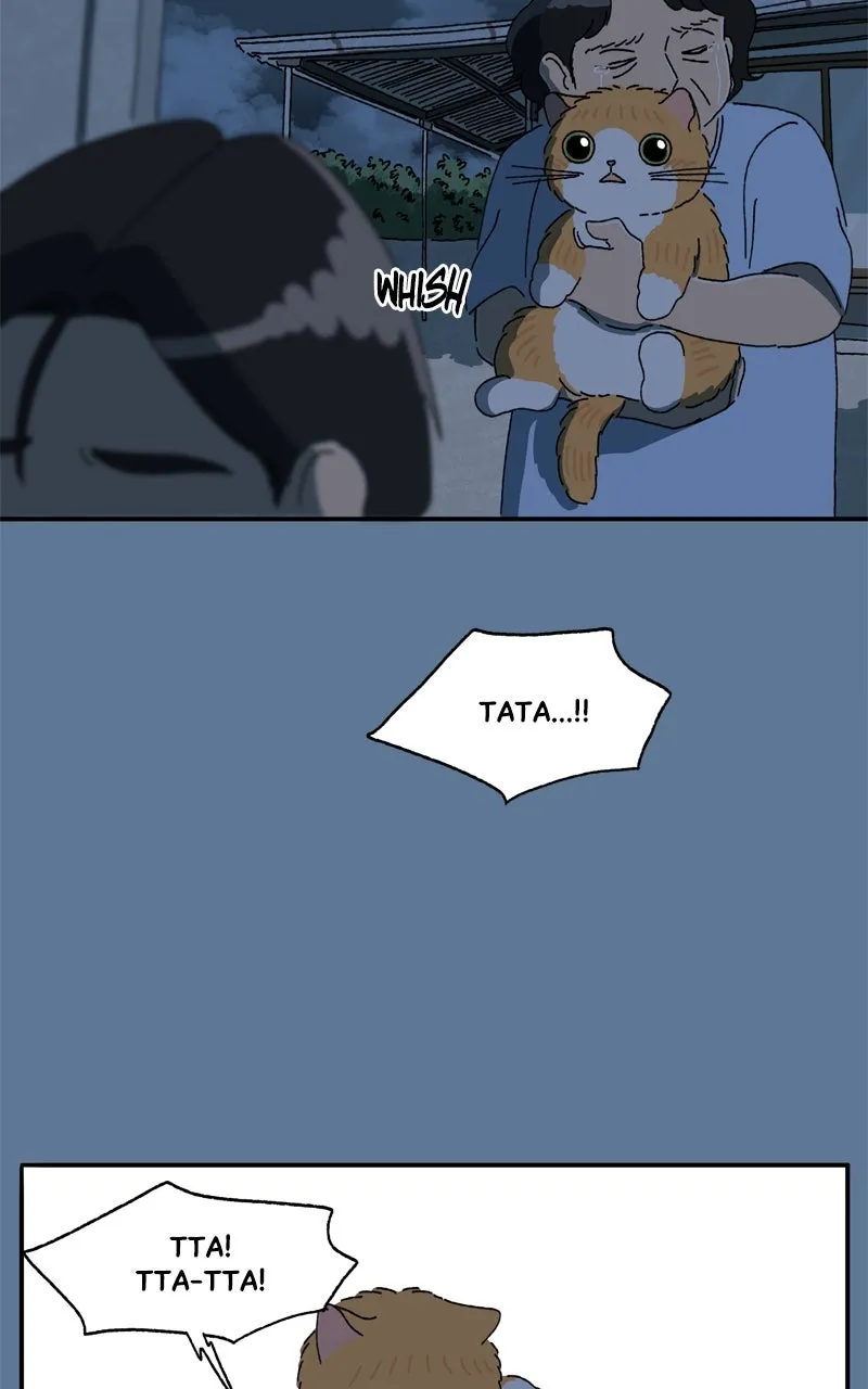 Tata the Cat Chapter 28 page 60 - 