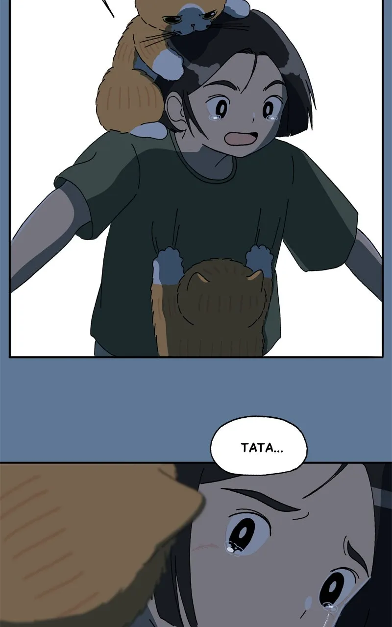 Tata the Cat Chapter 28 page 61 - 