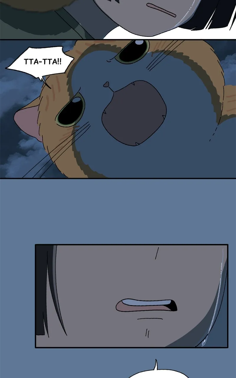 Tata the Cat Chapter 28 page 62 - 