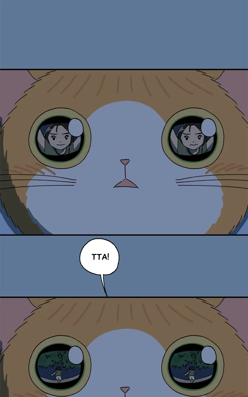 Tata the Cat Chapter 28 page 64 - 