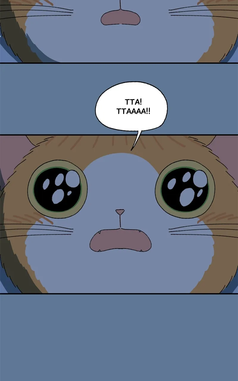 Tata the Cat Chapter 28 page 65 - 