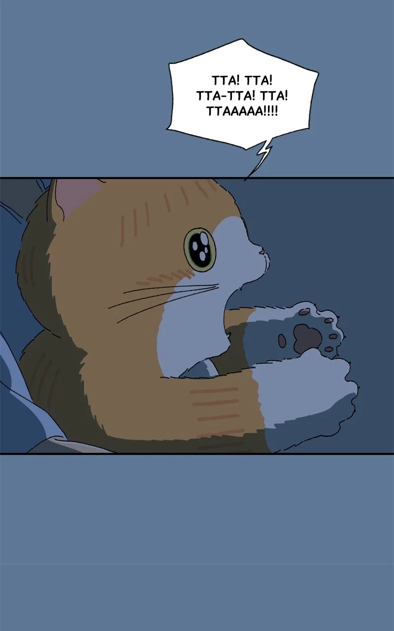 Tata the Cat Chapter 28 page 66 - 