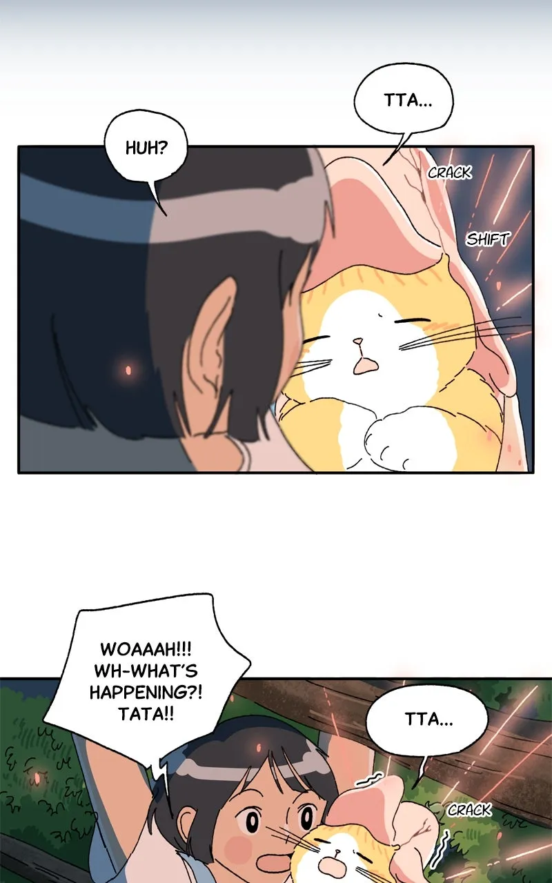 Tata the Cat Chapter 28 page 68 - 