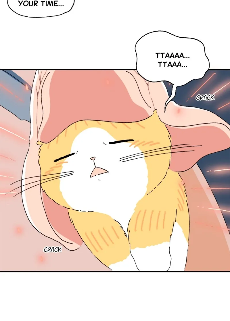 Tata the Cat Chapter 28 page 70 - 