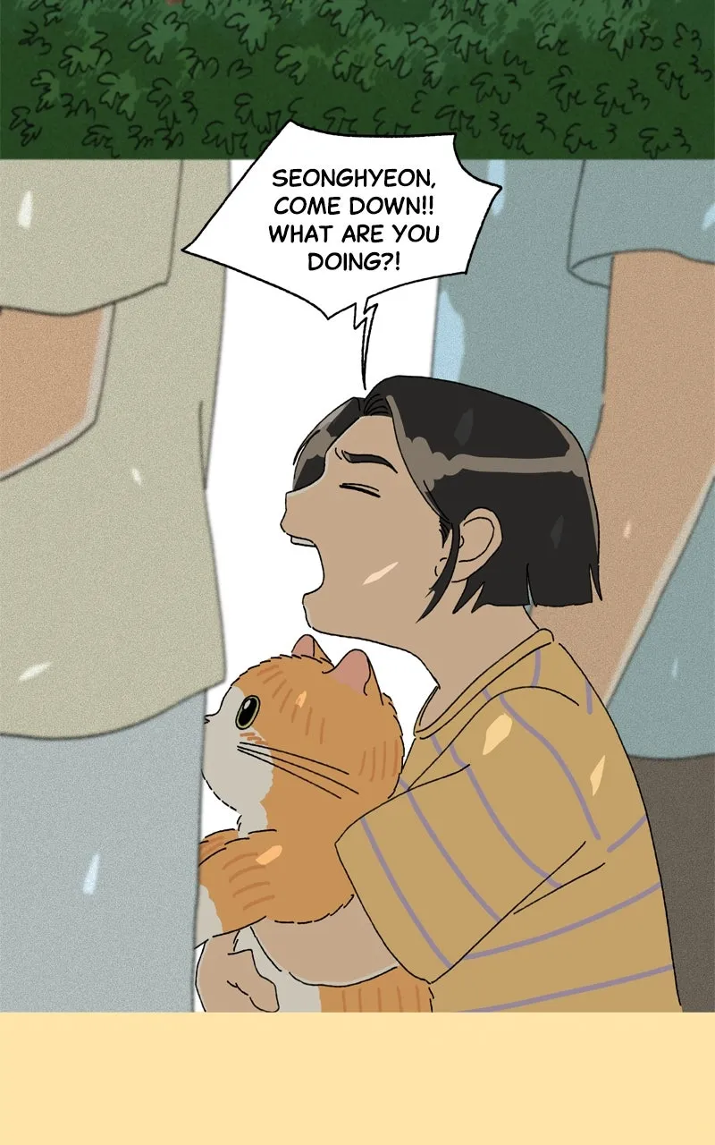 Tata the Cat Chapter 29 page 38 - 