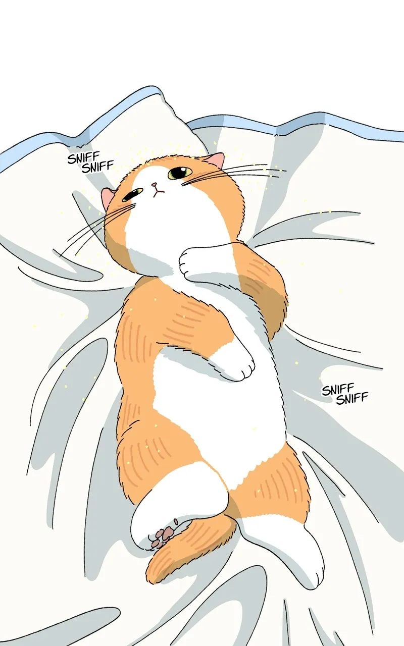 Tata the Cat Chapter 3 page 1 - 