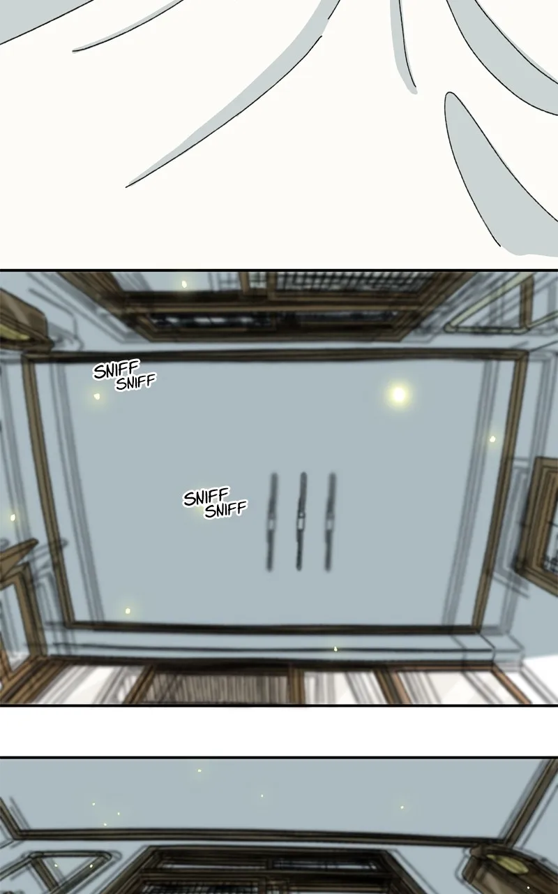 Tata the Cat Chapter 3 page 2 - 