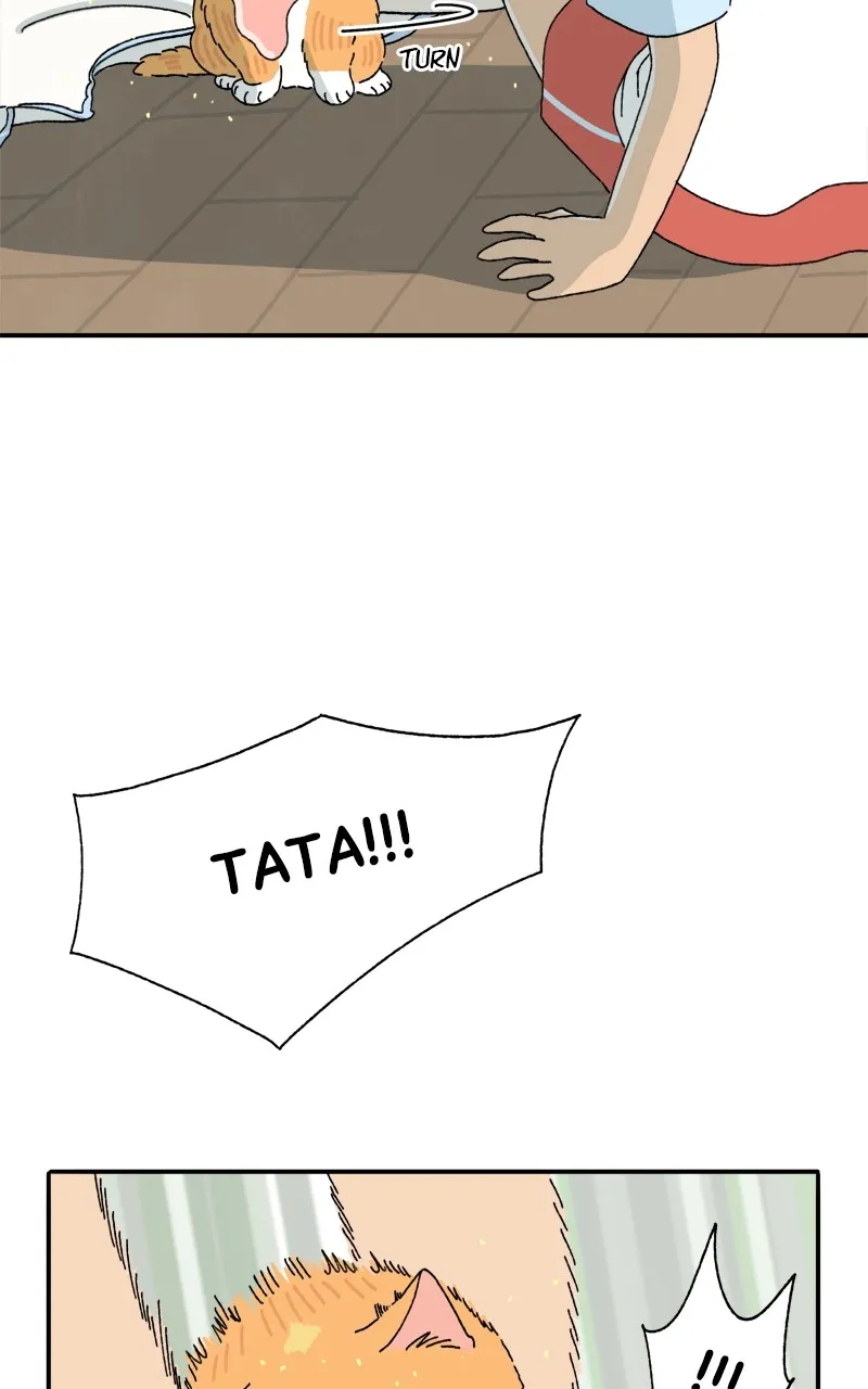 Tata the Cat Chapter 3 page 12 - 