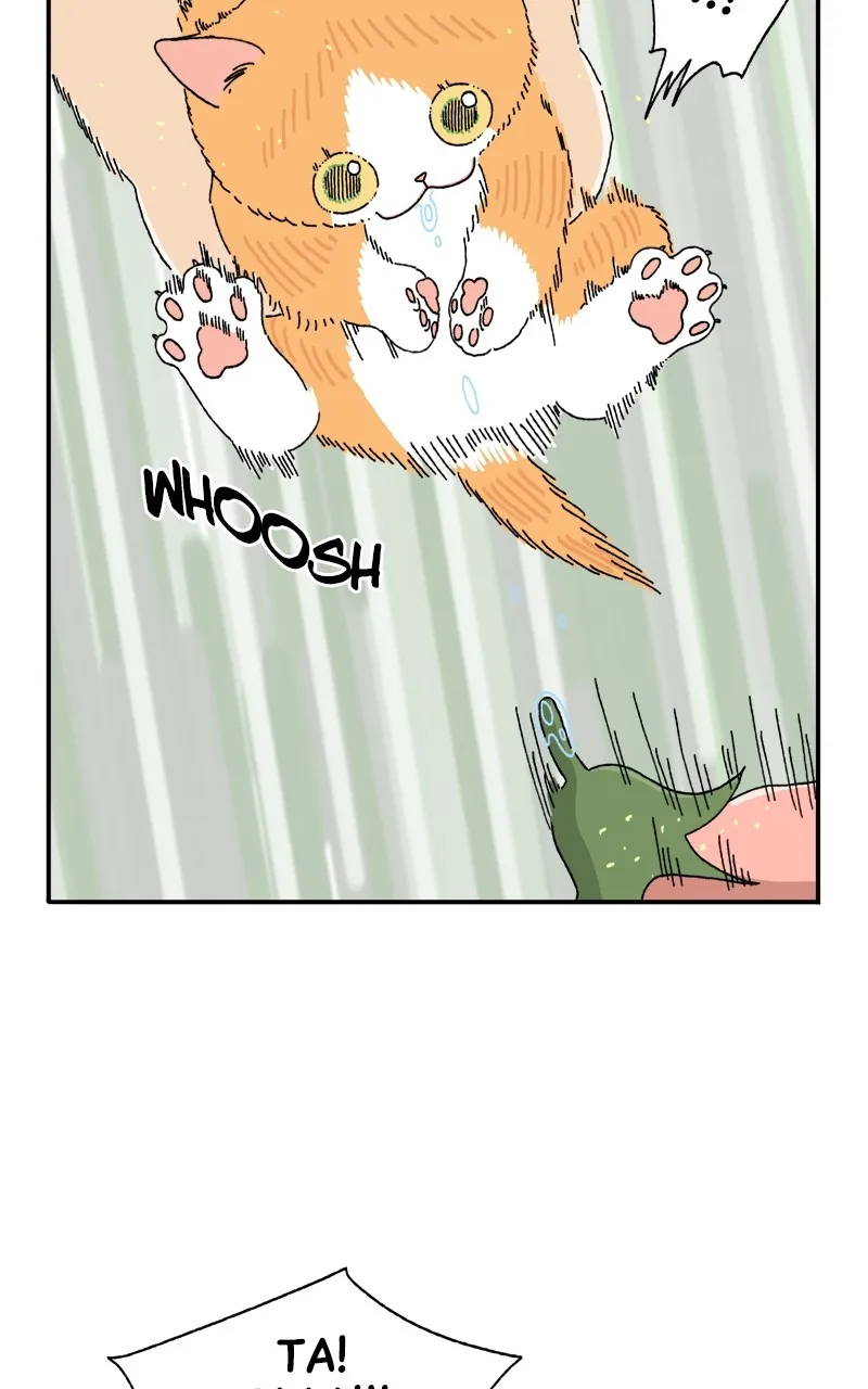 Tata the Cat Chapter 3 page 13 - 