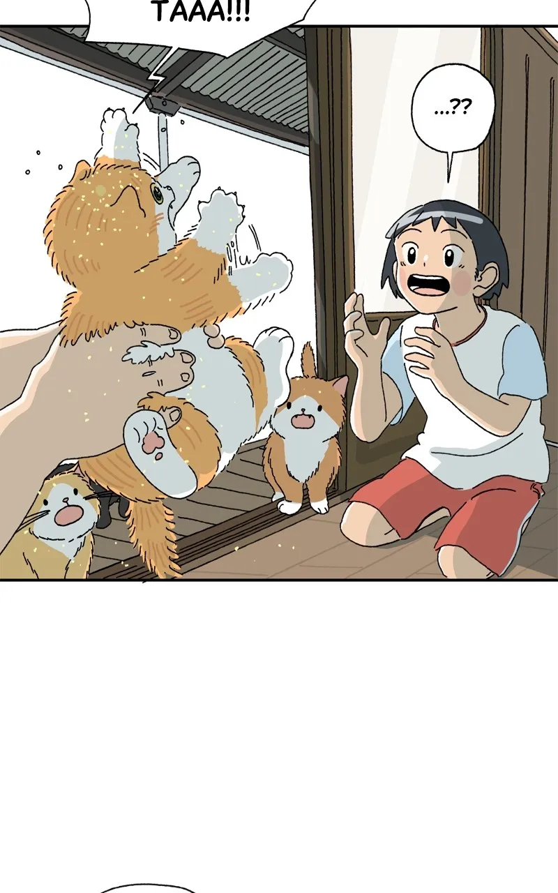 Tata the Cat Chapter 3 page 14 - 