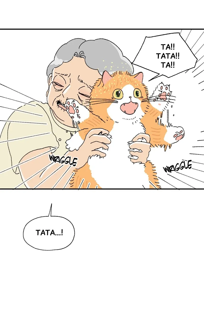 Tata the Cat Chapter 3 page 16 - 