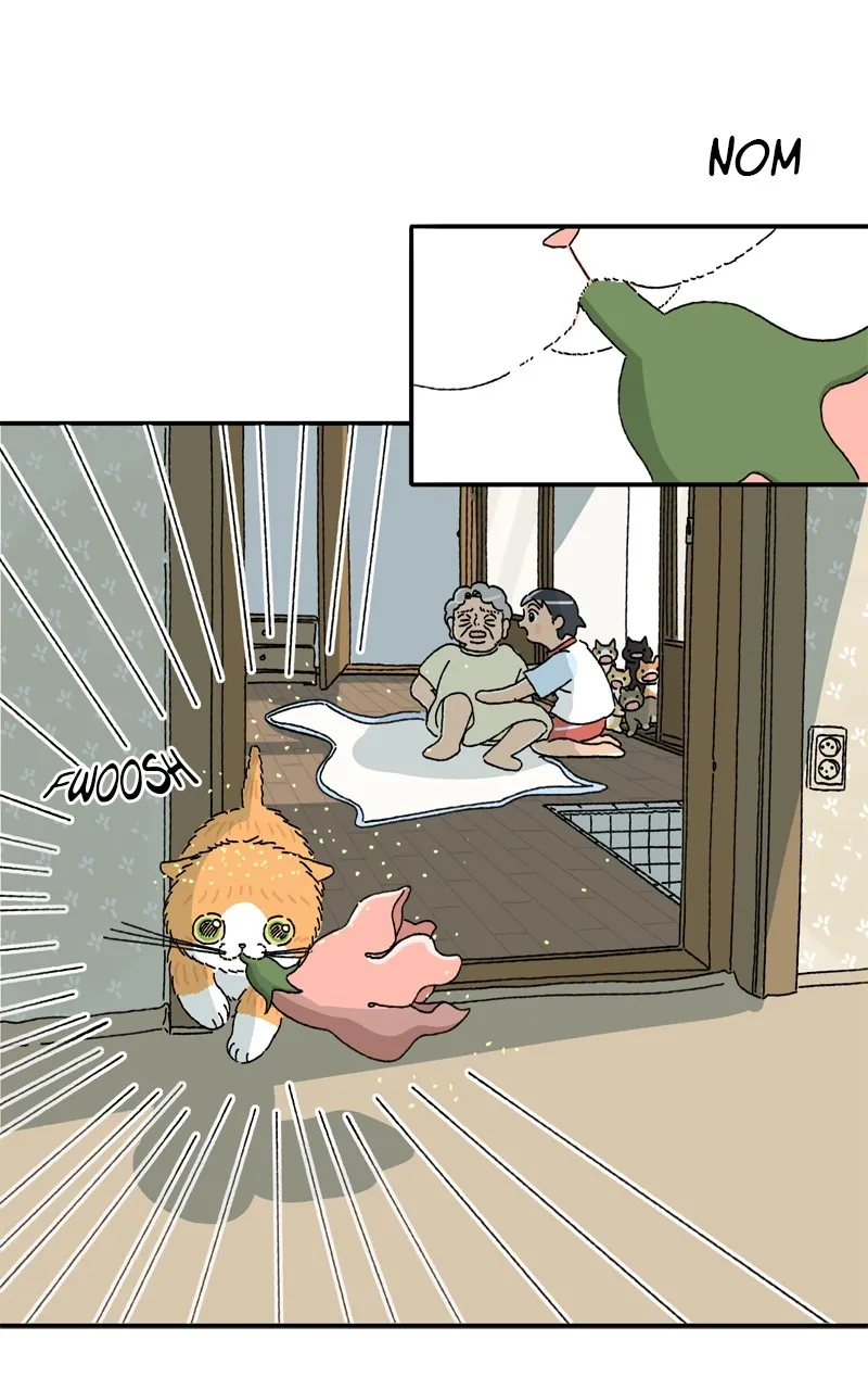 Tata the Cat Chapter 3 page 19 - 