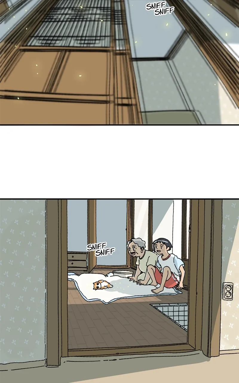 Tata the Cat Chapter 3 page 3 - 
