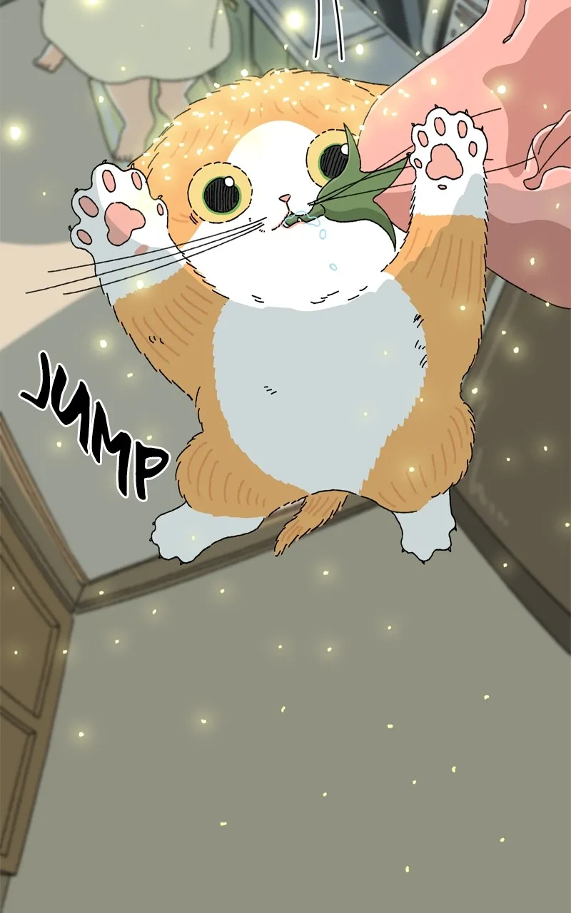 Tata the Cat Chapter 3 page 29 - 