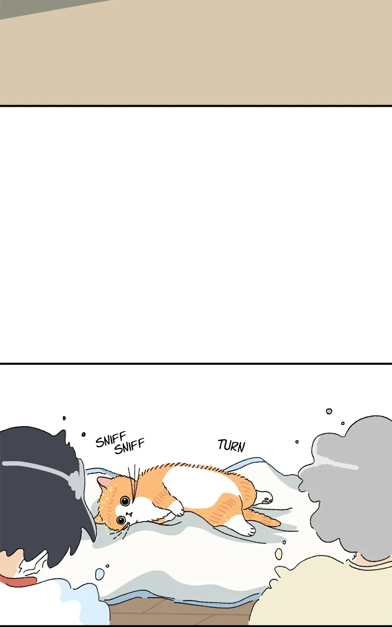 Tata the Cat Chapter 3 page 4 - 