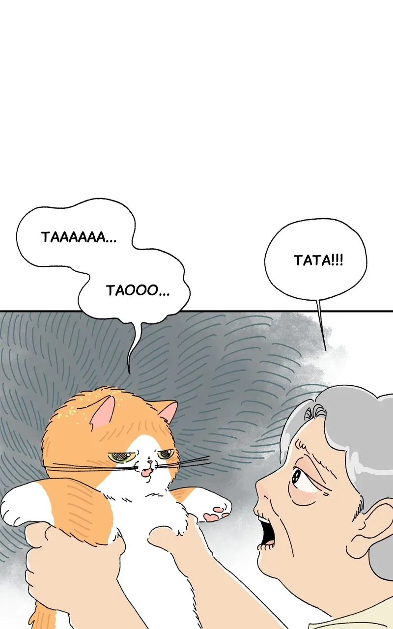Tata the Cat Chapter 3 page 34 - 