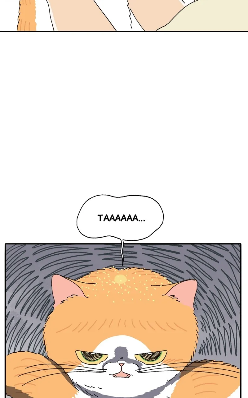 Tata the Cat Chapter 3 page 35 - 