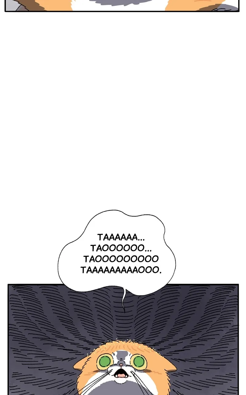 Tata the Cat Chapter 3 page 36 - 