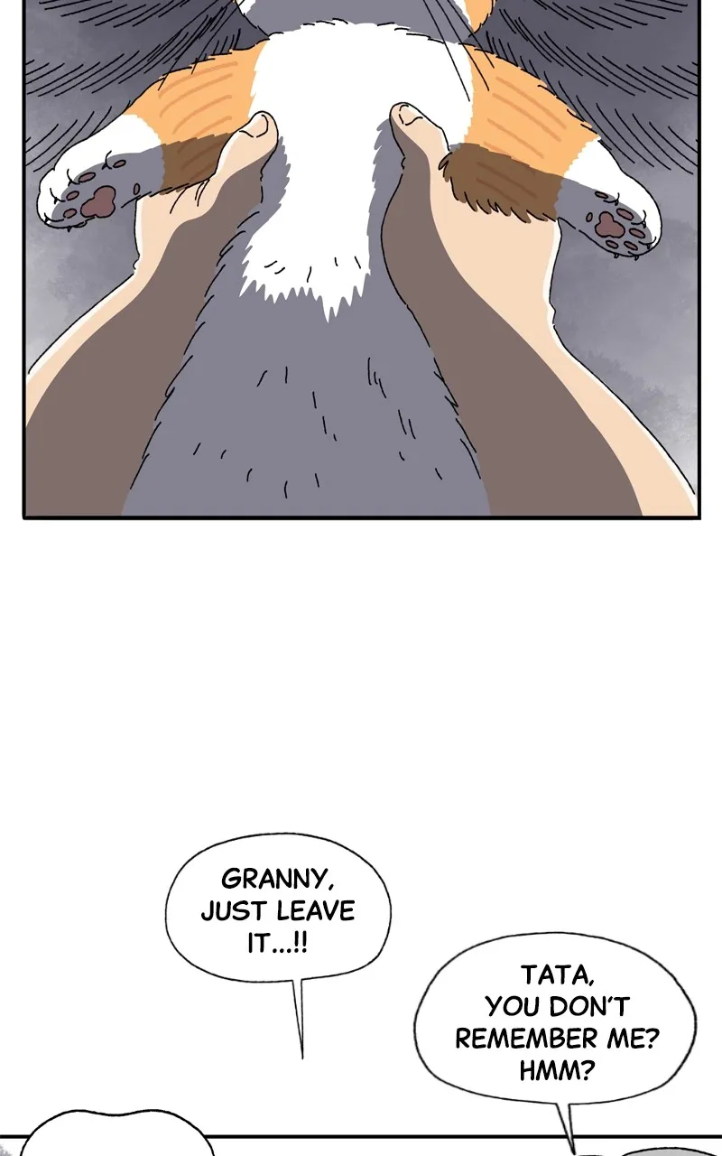Tata the Cat Chapter 3 page 37 - 