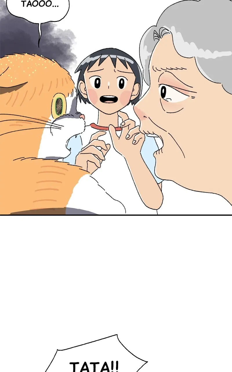 Tata the Cat Chapter 3 page 38 - 