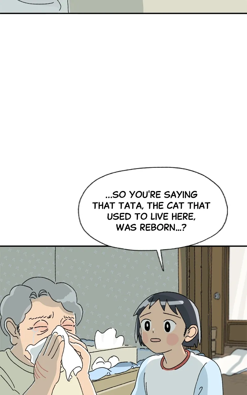 Tata the Cat Chapter 3 page 46 - 