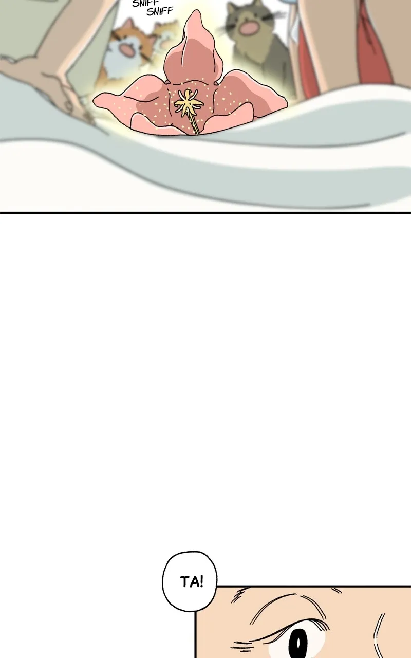 Tata the Cat Chapter 3 page 6 - 